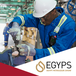 Imagem em miniatura do EGYPS