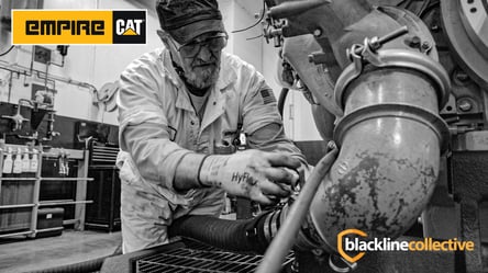 Imagem coletiva da Empire Cat-Blackline