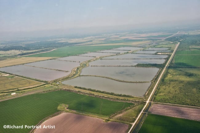 A GCWA protege seus trabalhadores remotos do setor hídrico utilizando dispositivos da Blackline Safety.