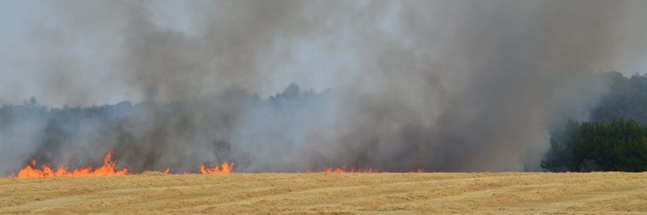 Um trabalhador solitário ajuda a impedir a propagação de um incêndio florestal usando seu dispositivo G7.