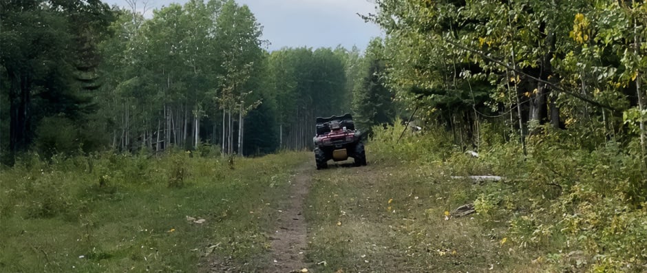 Banner da história do Leão
