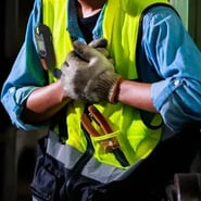 Incidente da vida real: A história de Anna - Miniatura