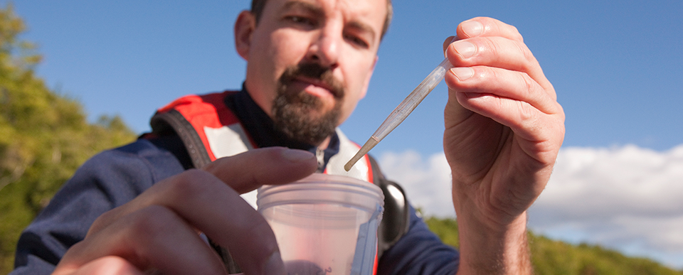 Imagens do blog - ambiental