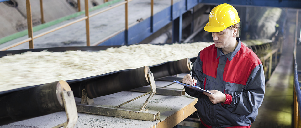 Imagens do blog — alimentos e bebidas5