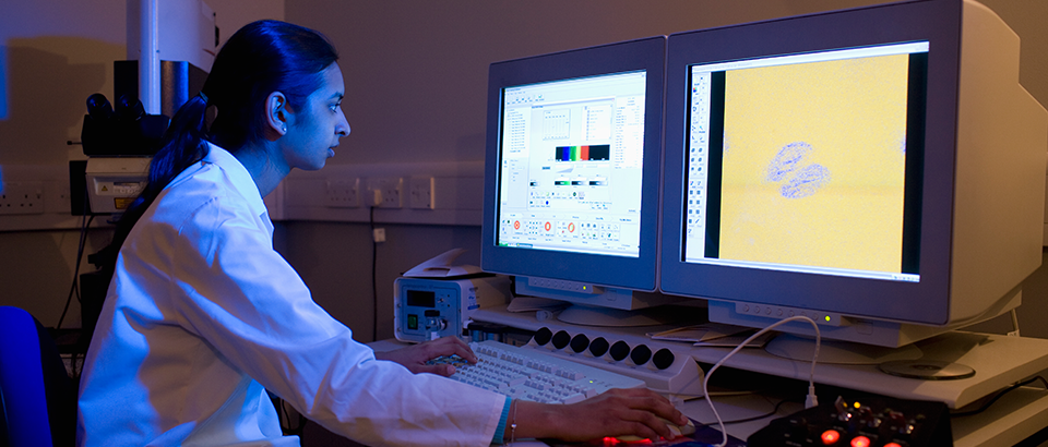 Imagens do blog -- labs3