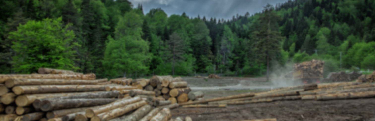 recursos-iniciais-banner